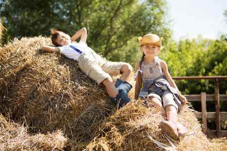 Foto: Zwei Kinder sitzen auf Heuhaufen
